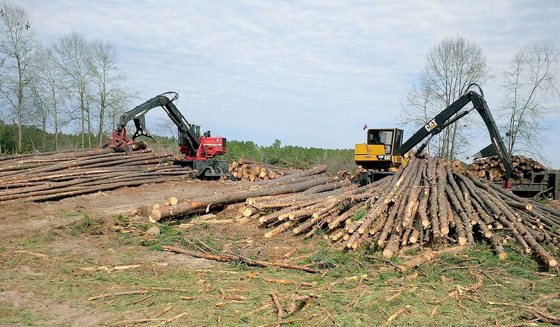 machines harvesting timber